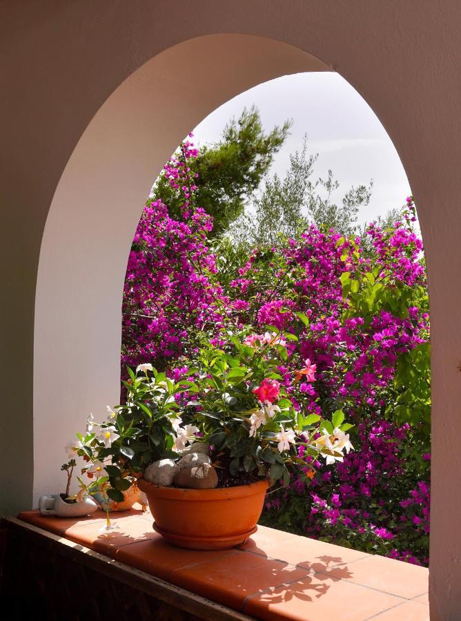 La Rosa Dei Venti Villa Massa Lubrense Exterior photo